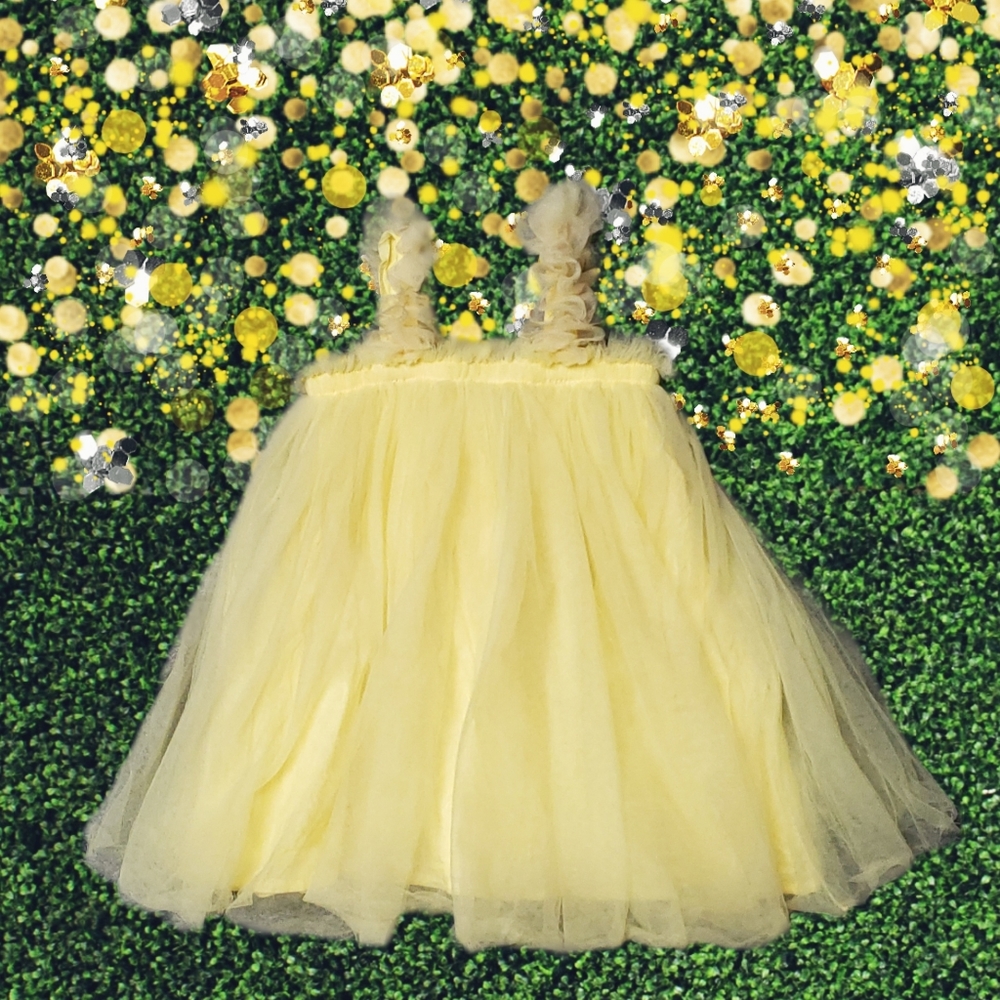 Tulle dress